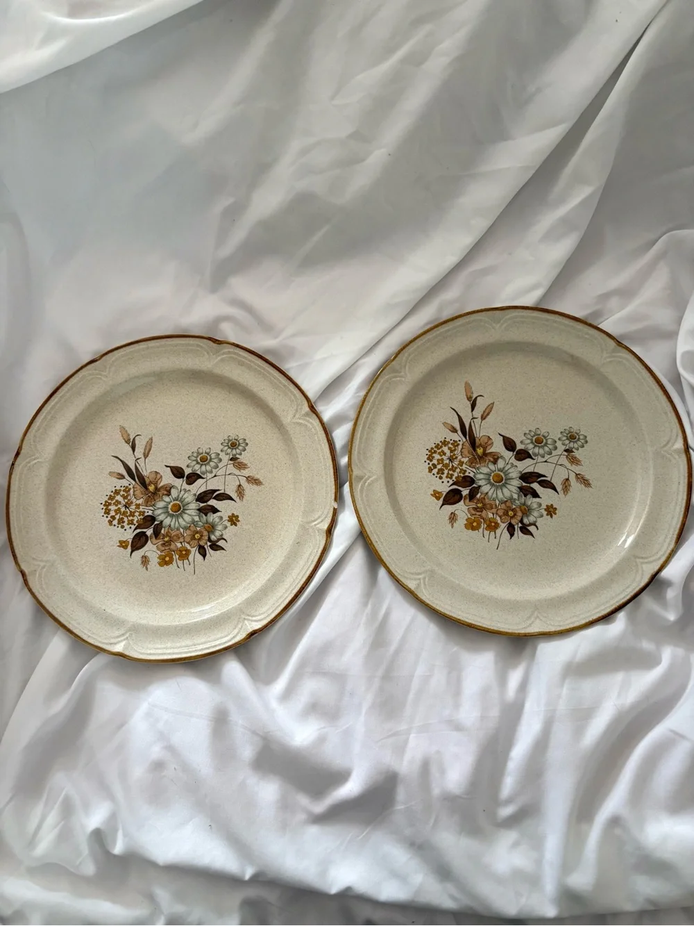 Vintage neutral floral dinner plates ceramic Finesse Wellington set of 2